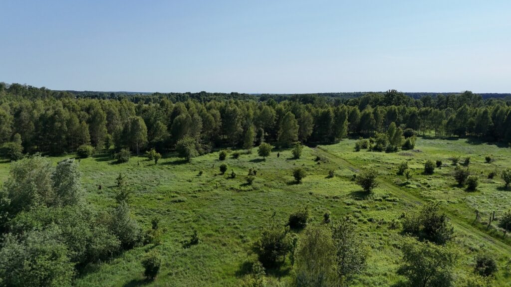 Działka 1685m2 przy lesie, Żółwia Błoć, Goleniów - zdjęcie 11