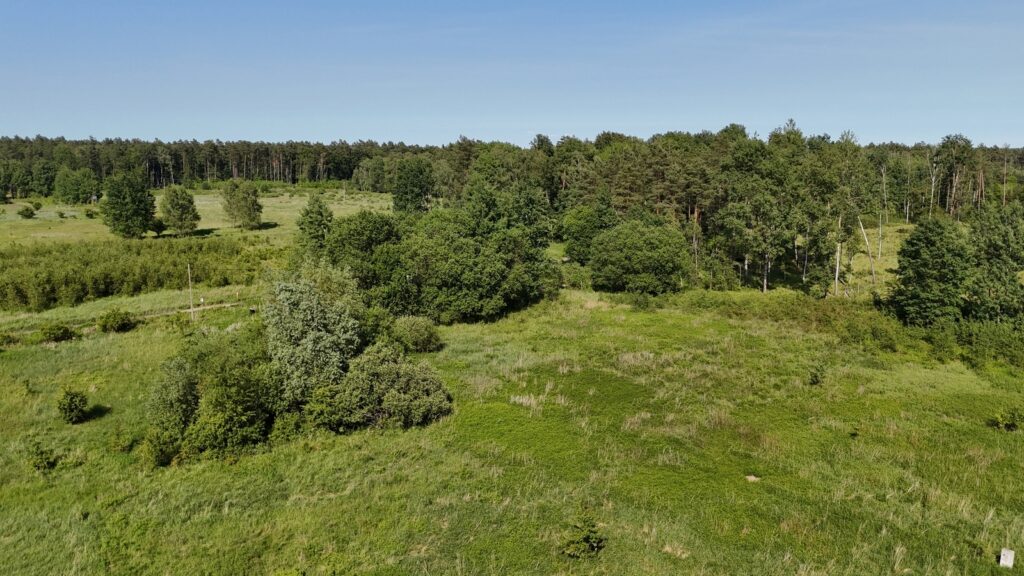 Działka 1685m2 przy lesie, Żółwia Błoć, Goleniów - zdjęcie 12