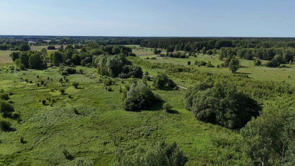 Działka 1685m2 przy lesie, Żółwia Błoć, Goleniów - zdjęcie 13