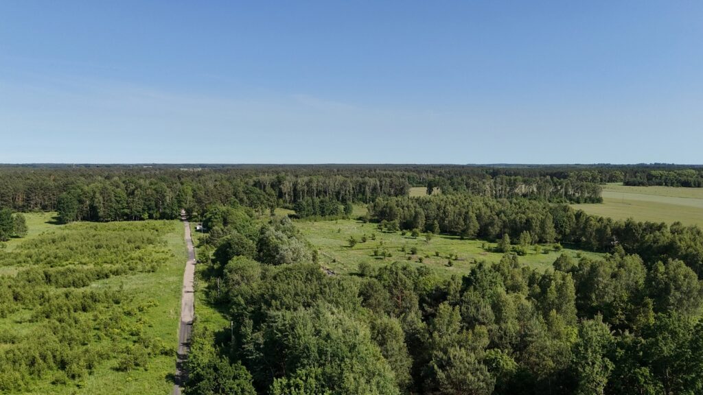 Działka 1685m2 przy lesie, Żółwia Błoć, Goleniów - zdjęcie 7