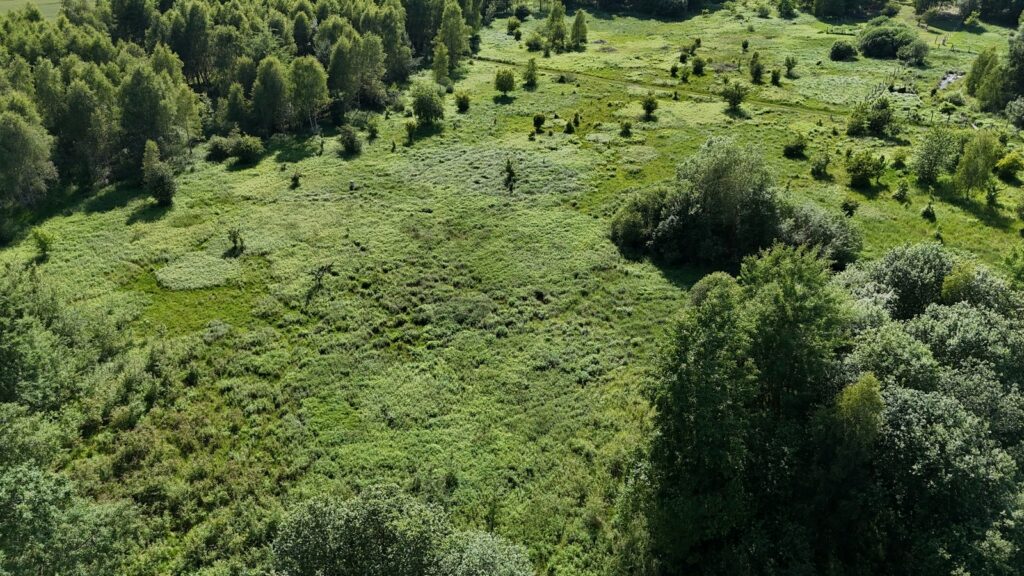 Działka 1685m2 przy lesie, Żółwia Błoć, Goleniów - zdjęcie 6