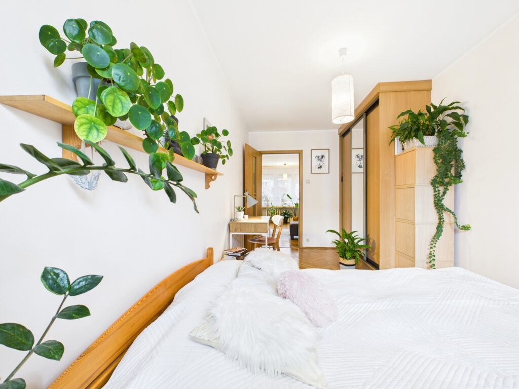 3 pokoje na I piętrze * Cegła * ul.WIERZBOWA - zdjęcie 2