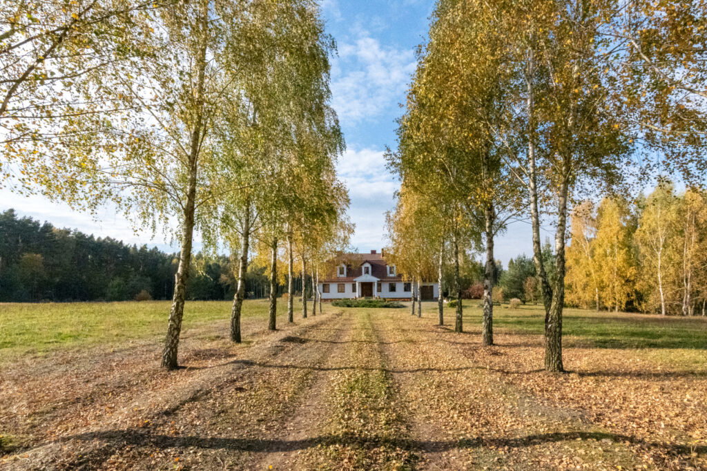 Dworek z dużą działką blisko lasu i jeziora - zdjęcie 1