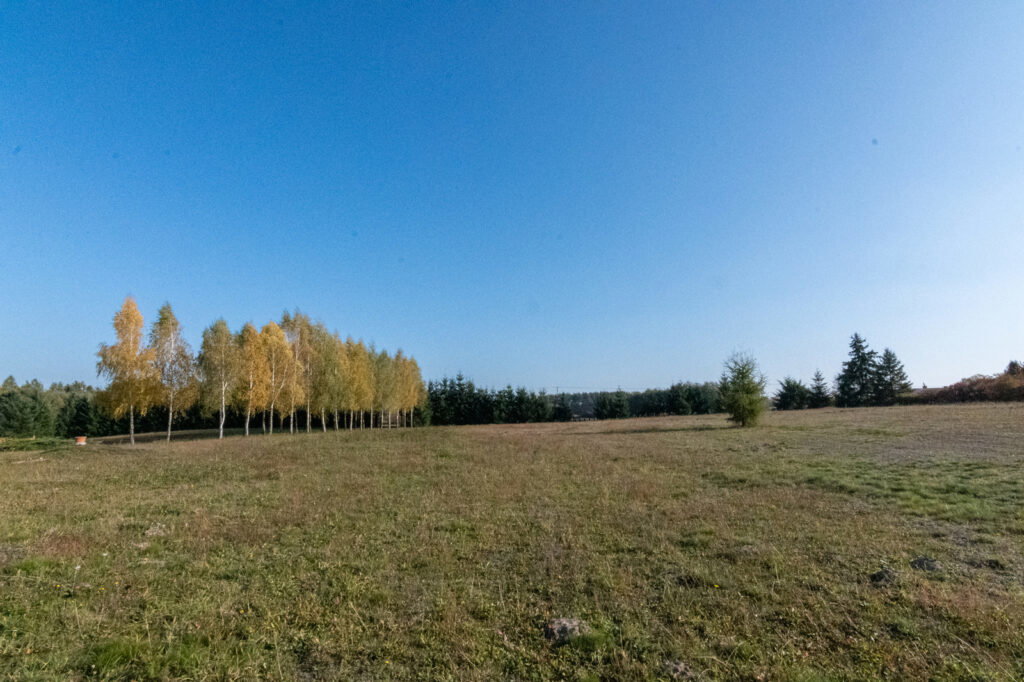 Dworek z dużą działką blisko lasu i jeziora - zdjęcie 26