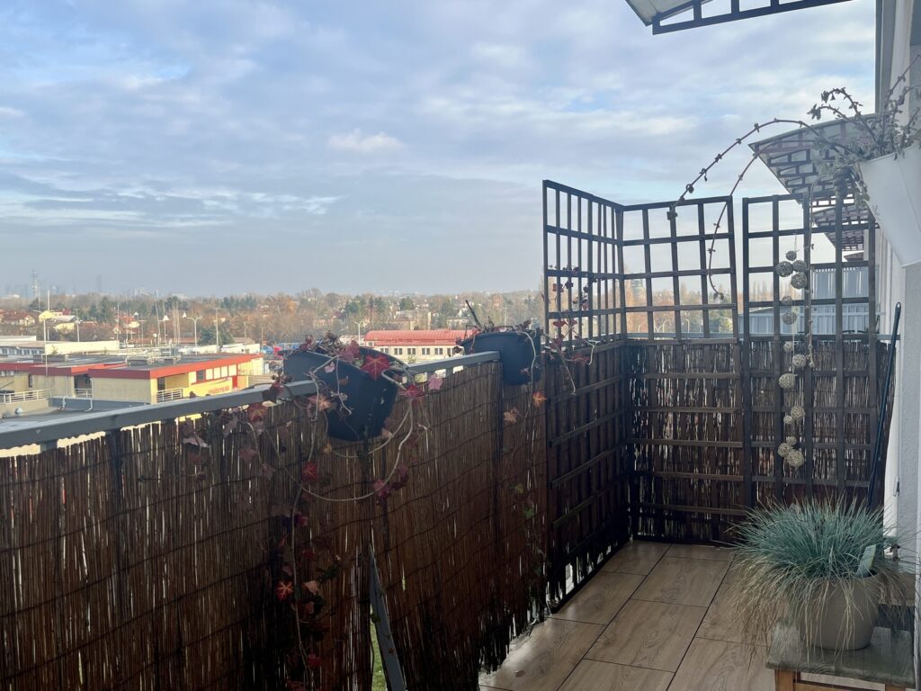 3-pokojowe mieszkanie Nowe Włochy | 58,54 m² - zdjęcie 8