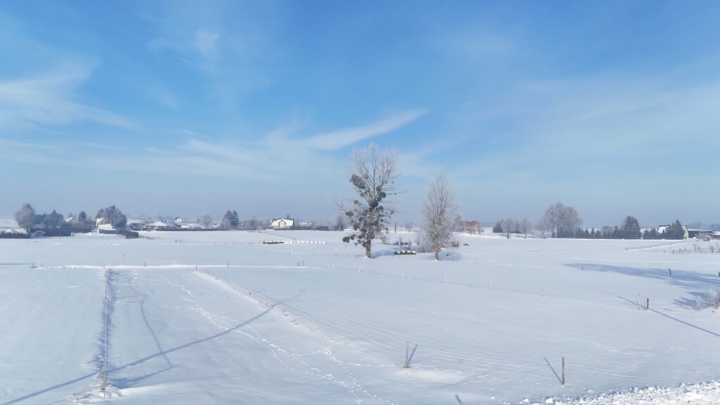 Działka w Kożuchach Wielkich | Giżycko - zdjęcie 6