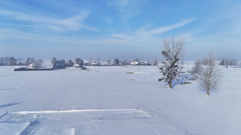 Działka w Kożuchach Wielkich | Giżycko - zdjęcie 8