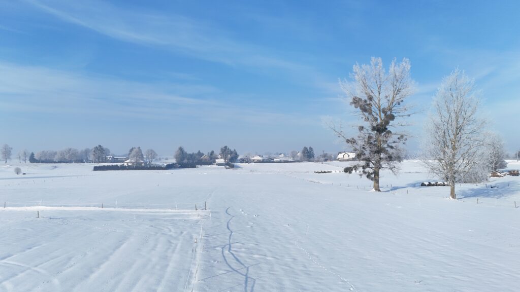 Działka w Kożuchach Wielkich | Giżycko - zdjęcie 12