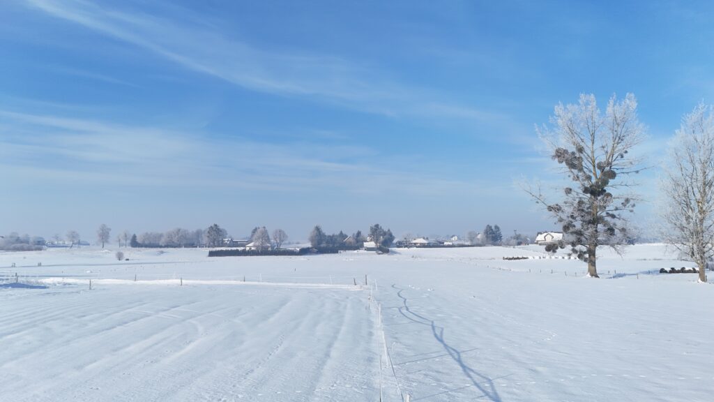 Działka w Kożuchach Wielkich | Giżycko - zdjęcie 2