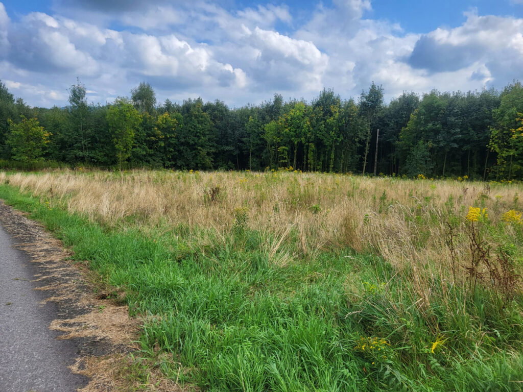 Działka rolno-budowlana - zdjęcie 2