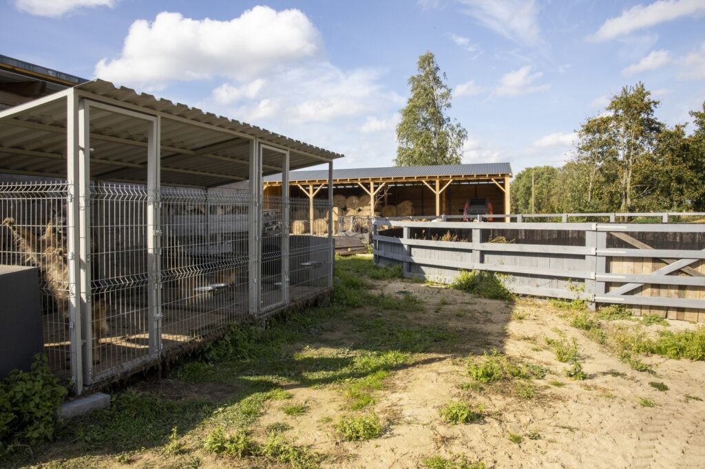 Wyjątkowa nieruchomość, stajnia 1,5763 ha - Bartki - zdjęcie 23