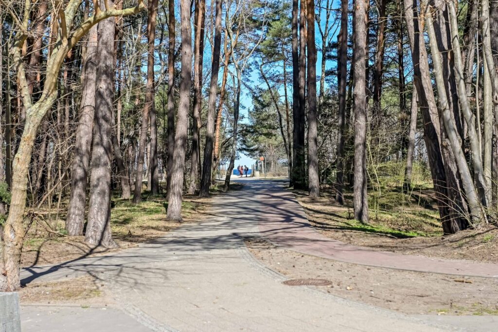 Komfortowy apartament przy plaży - zdjęcie 22