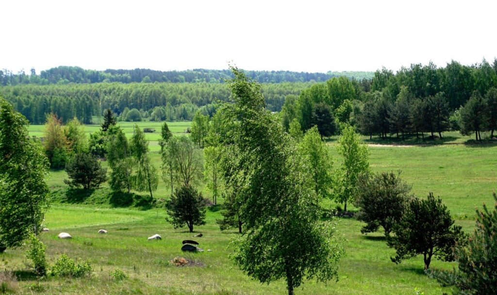 Działki pod budowę Szkotowo - zdjęcie 21
