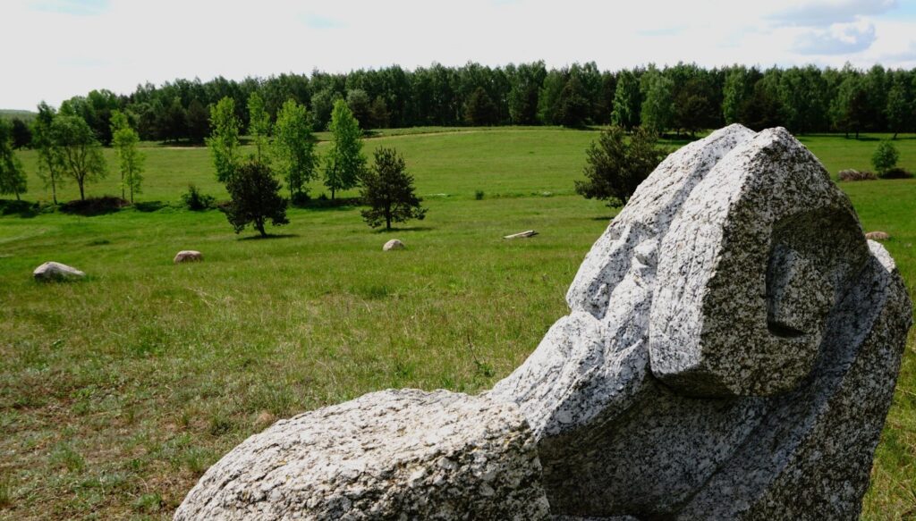 Działki pod budowę Szkotowo - zdjęcie 24