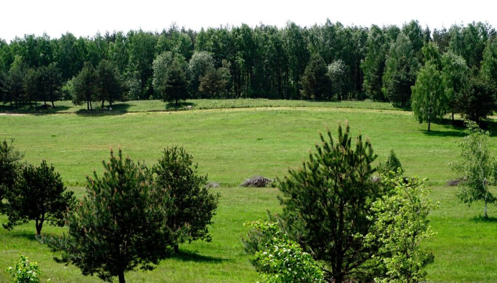 Działki pod budowę Szkotowo - zdjęcie 25