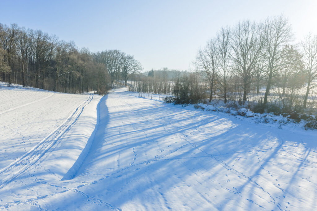 Działki z potencjałem inwestycyjnym – Słocina - zdjęcie 18