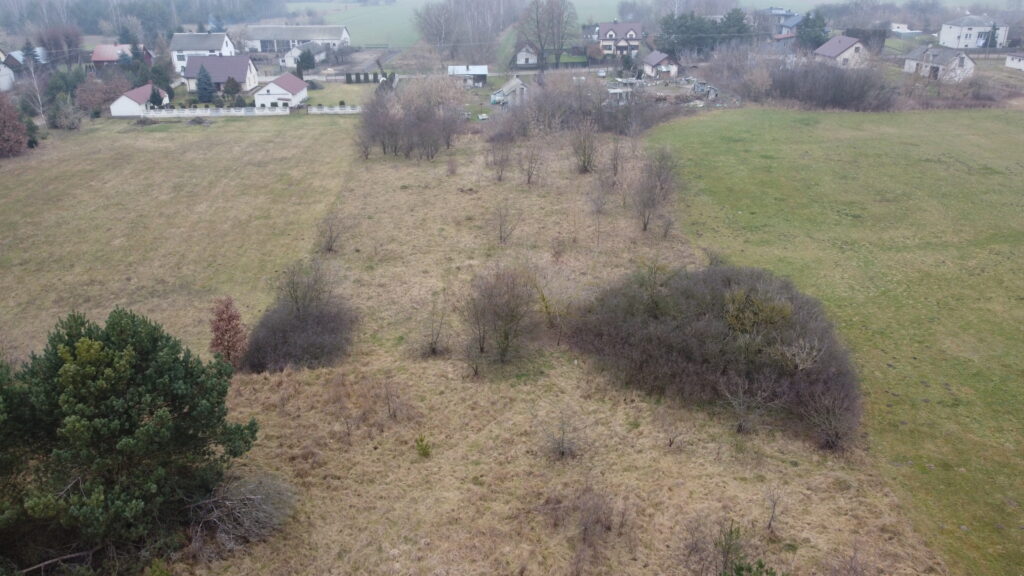 Działka z potencjałem 5306 m² Wielęcin - zdjęcie 7