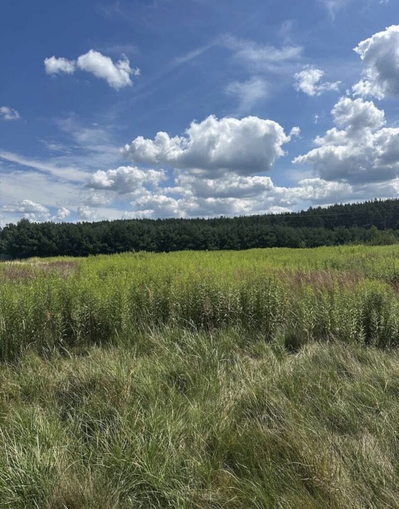 Działka budowlana 1000 m² blisko lasu. Murów - zdjęcie 3