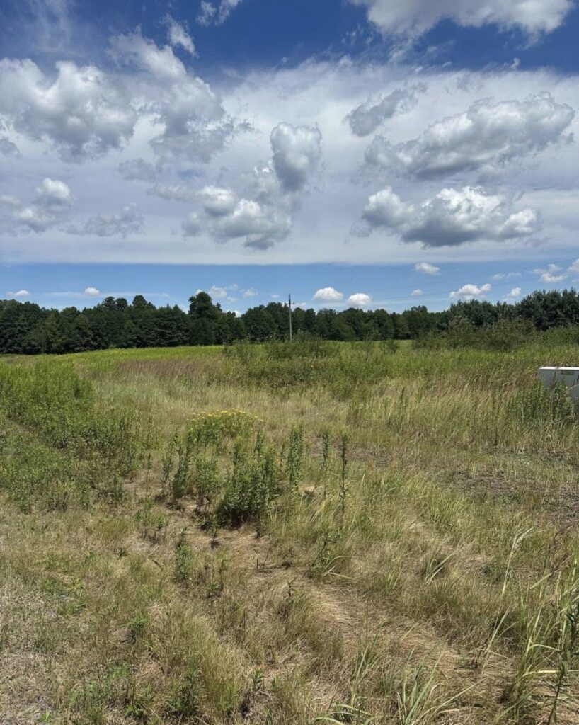 Działka budowlana 1000 m² blisko lasu. Murów - zdjęcie 5