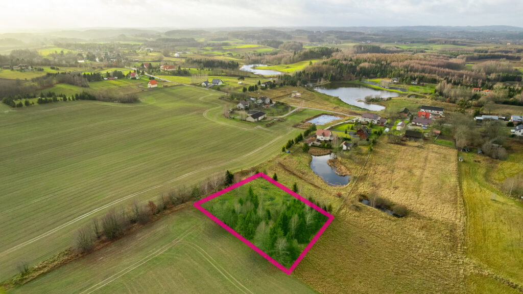 Działka z WZ pod siedlisko z kawałkiem lasu ! - zdjęcie 1