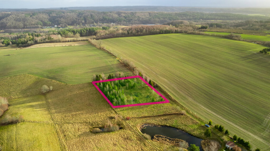 Działka z WZ pod siedlisko z kawałkiem lasu ! - zdjęcie 4