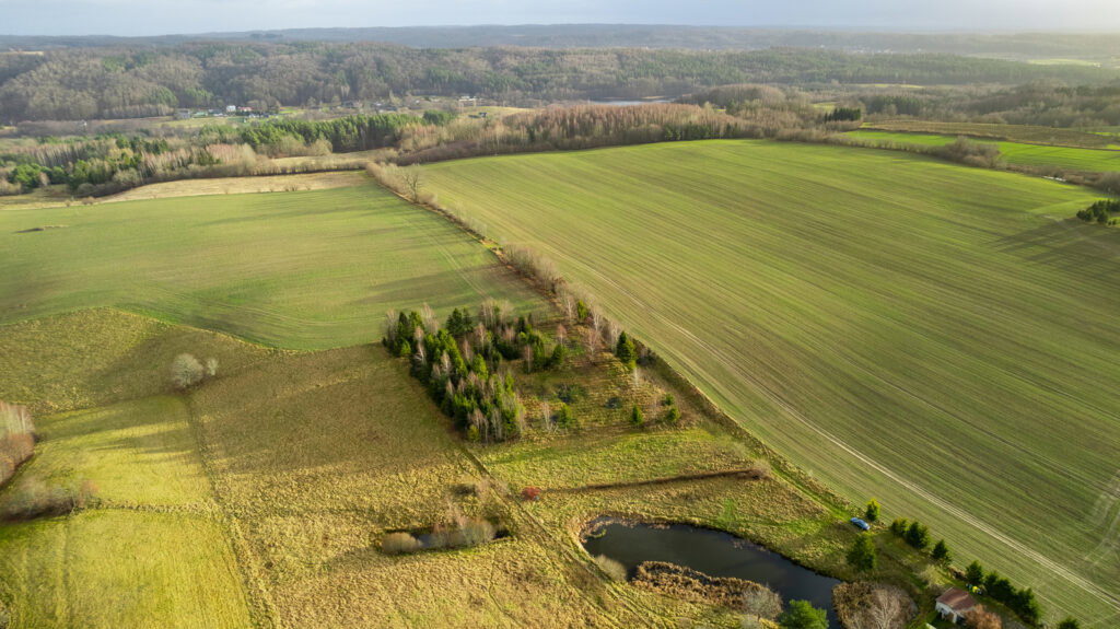 Działka z WZ pod siedlisko z kawałkiem lasu ! - zdjęcie 5