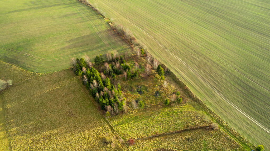 Działka z WZ pod siedlisko z kawałkiem lasu ! - zdjęcie 12