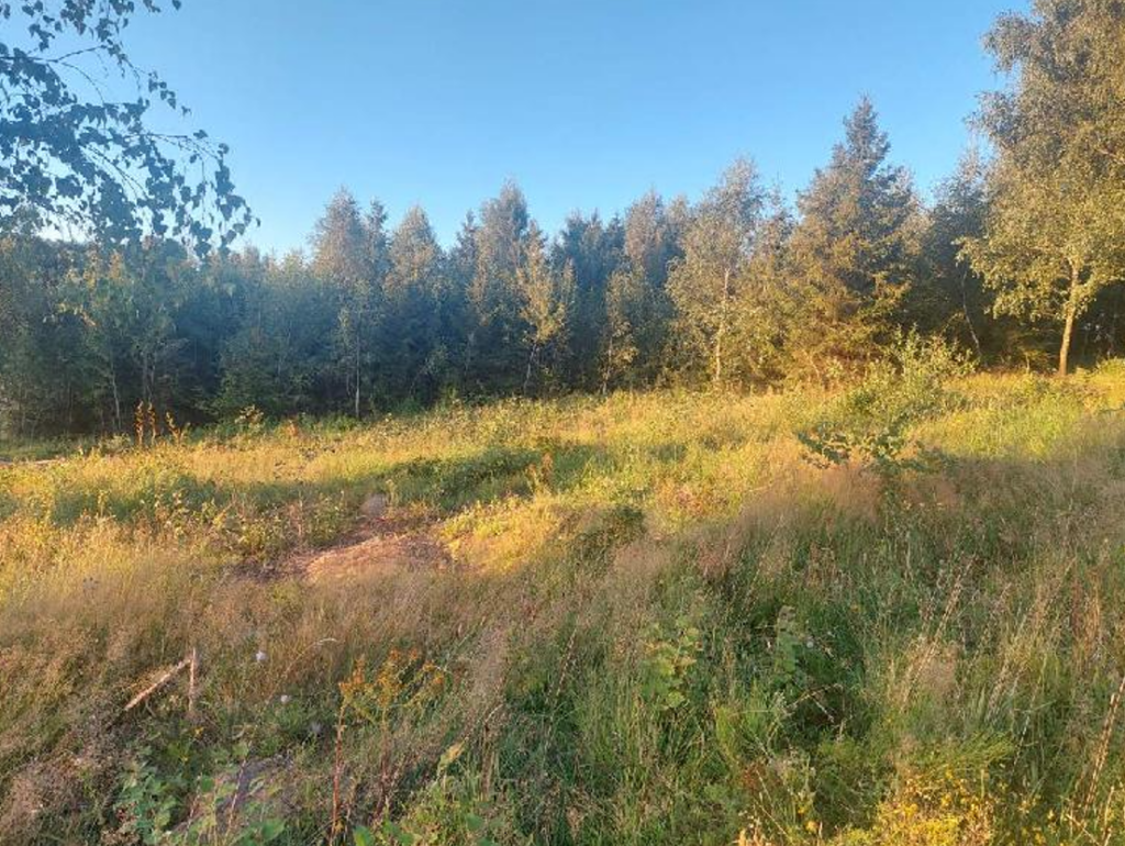 Działka z WZ pod siedlisko z kawałkiem lasu ! - zdjęcie 15