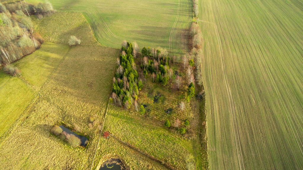 Działka z WZ pod siedlisko z kawałkiem lasu ! - zdjęcie 17