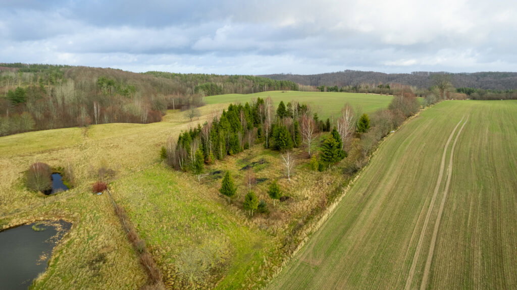 Działka z WZ pod siedlisko z kawałkiem lasu ! - zdjęcie 18