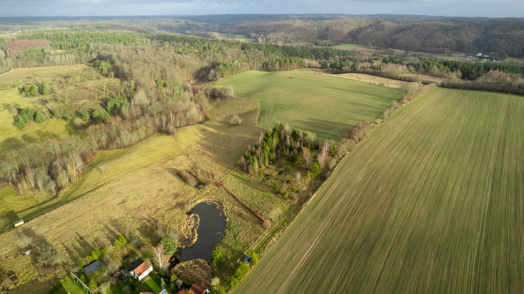 Działka z WZ pod siedlisko z kawałkiem lasu ! - zdjęcie 23