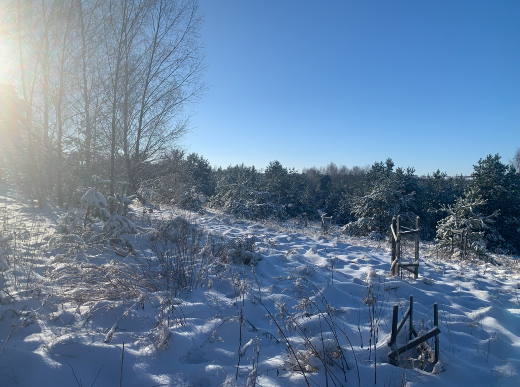 Urocza działka budowlana na wzniesieniu ! - zdjęcie 35