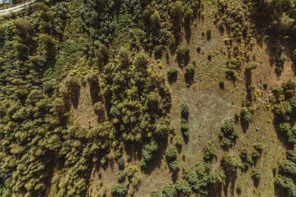 Urocza działka budowlana na wzniesieniu ! - zdjęcie 19