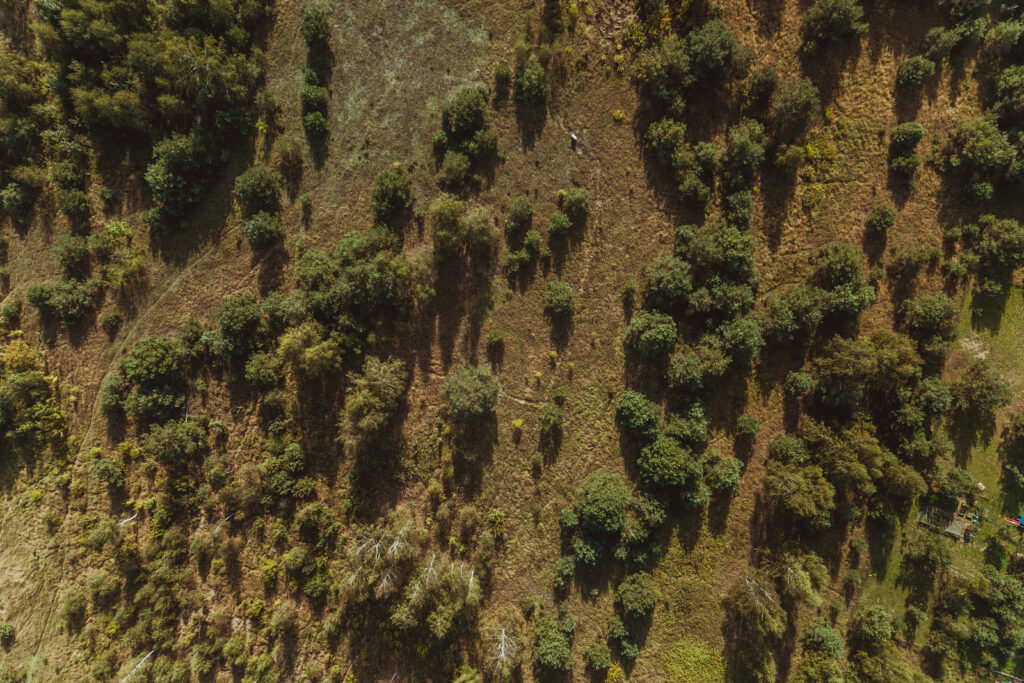 Urocza działka budowlana na wzniesieniu ! - zdjęcie 21