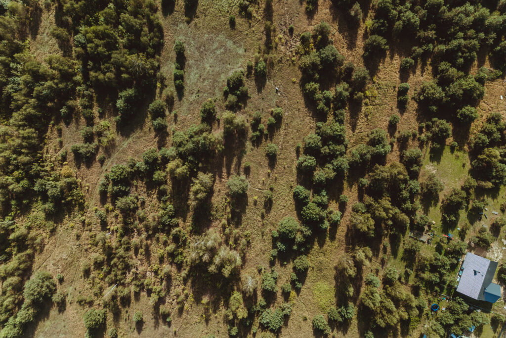 Urocza działka budowlana na wzniesieniu ! - zdjęcie 20