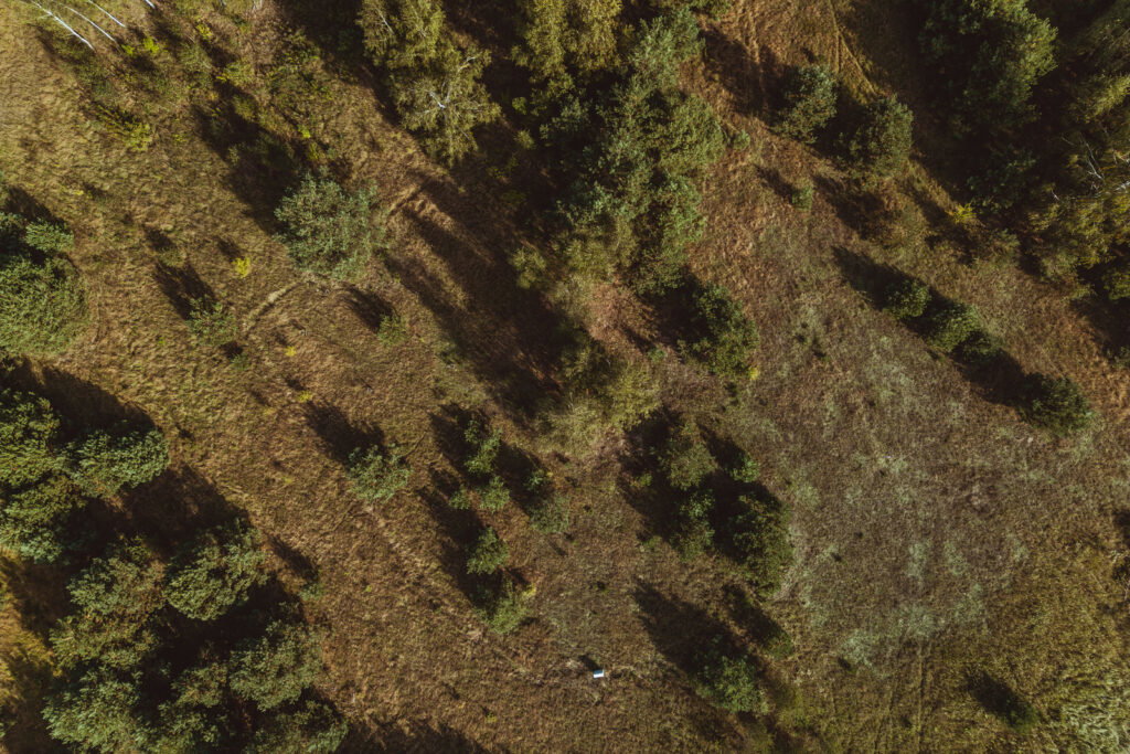 Urocza działka budowlana na wzniesieniu ! - zdjęcie 17