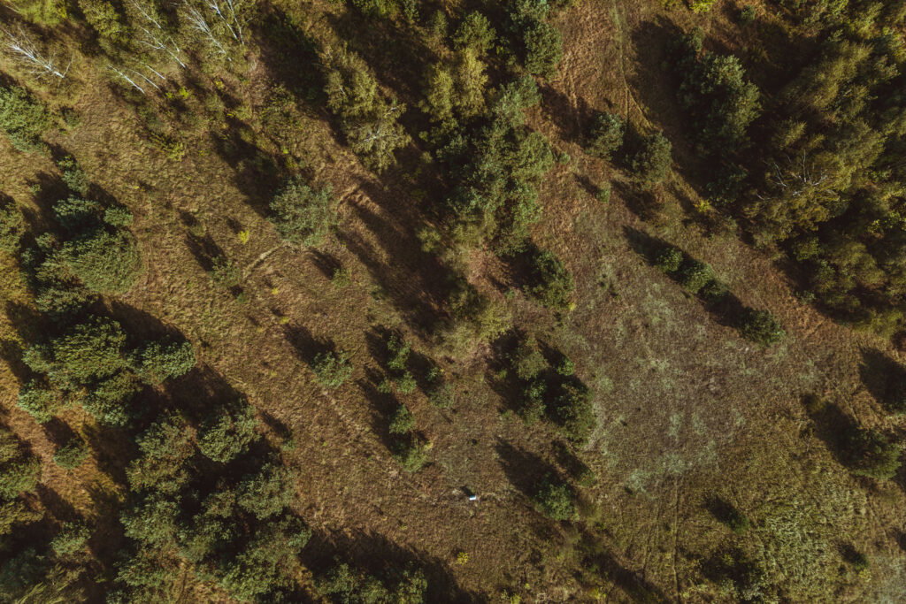 Urocza działka budowlana na wzniesieniu ! - zdjęcie 23