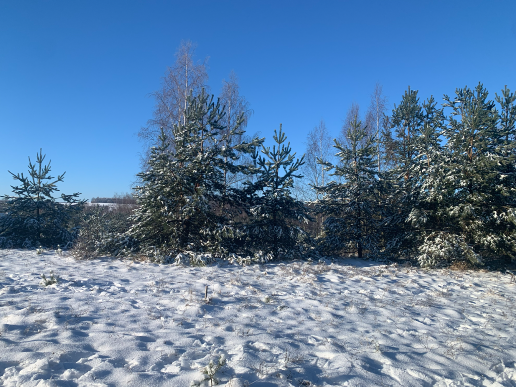 Urocza działka budowlana na wzniesieniu ! - zdjęcie 36