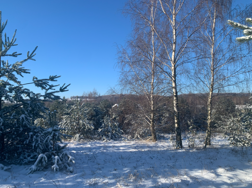 Urocza działka budowlana na wzniesieniu ! - zdjęcie 37