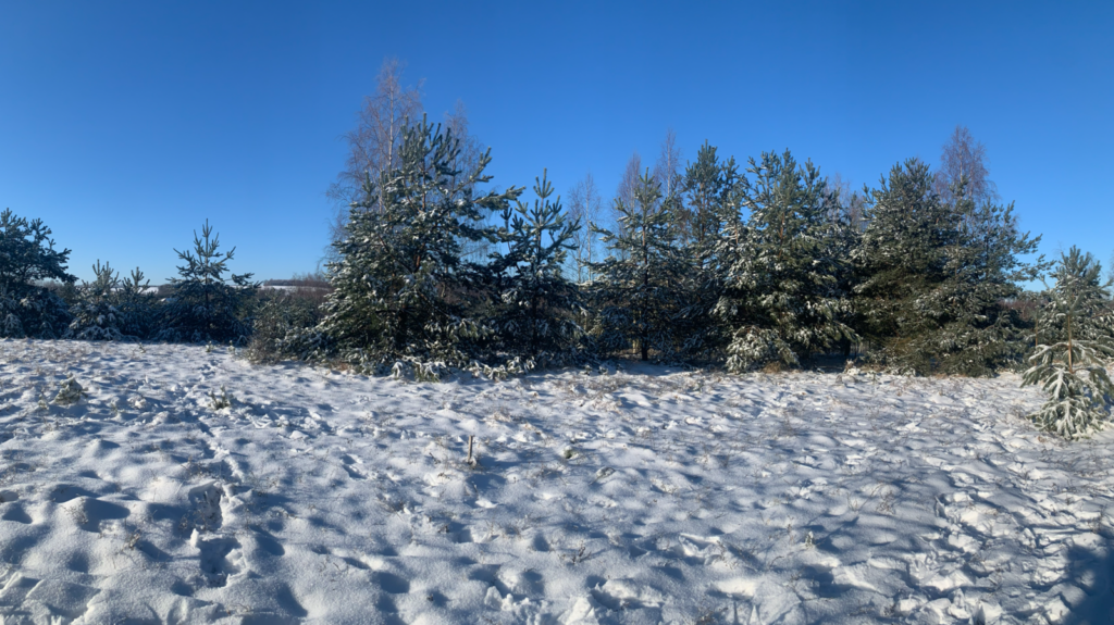 Urocza działka budowlana na wzniesieniu ! - zdjęcie 38