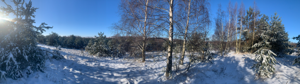 Urocza działka budowlana na wzniesieniu ! - zdjęcie 39