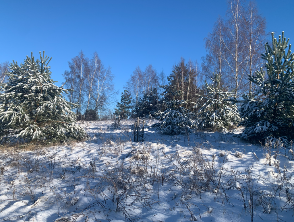 Urocza działka budowlana na wzniesieniu ! - zdjęcie 41