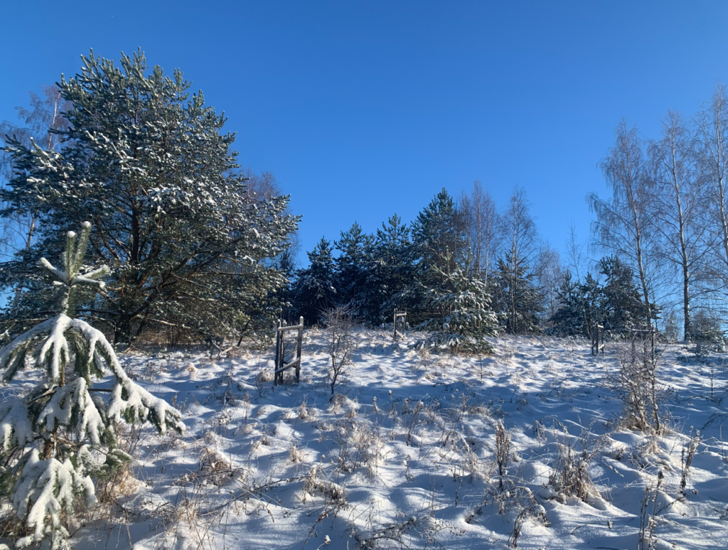 Urocza działka budowlana na wzniesieniu ! - zdjęcie 43