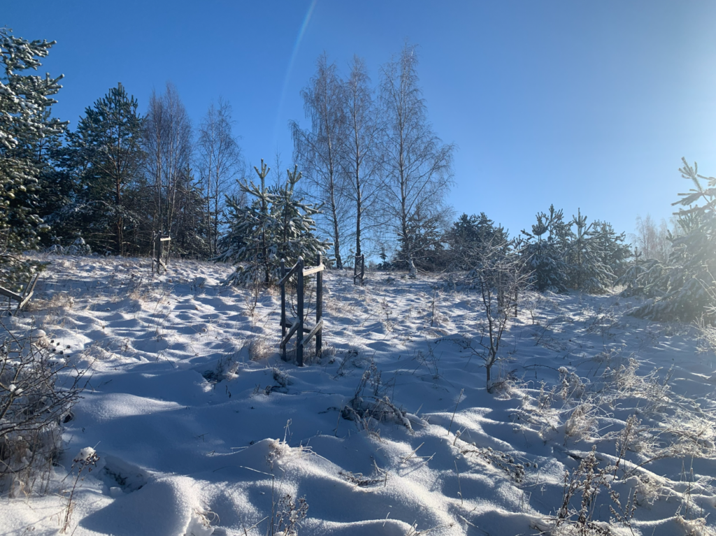 Urocza działka budowlana na wzniesieniu ! - zdjęcie 44