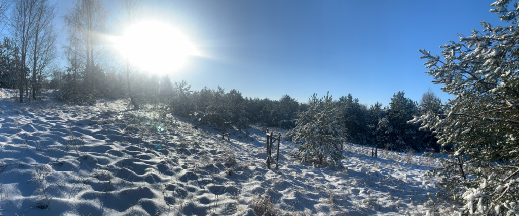 Urocza działka budowlana na wzniesieniu ! - zdjęcie 1