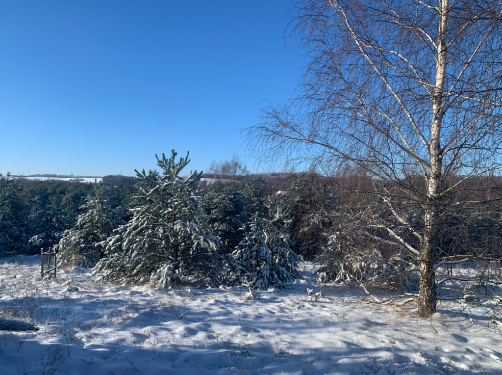 Urocza działka budowlana na wzniesieniu ! - zdjęcie 45