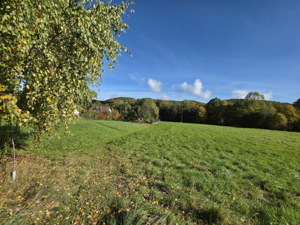 Działka budowlano-usługowa w Rzykach! - zdjęcie 1