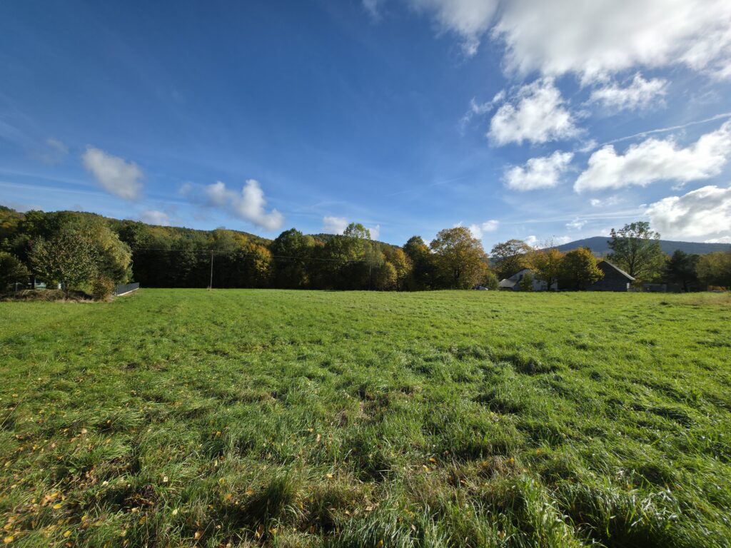 Działka budowlano-usługowa w Rzykach! - zdjęcie 2