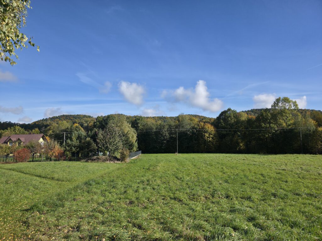 Działka budowlano-usługowa w Rzykach! - zdjęcie 3