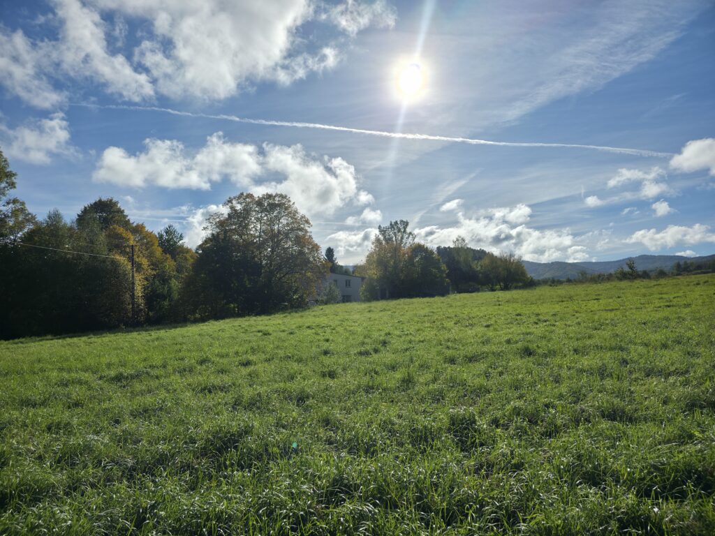 Działka budowlano-usługowa w Rzykach! - zdjęcie 4
